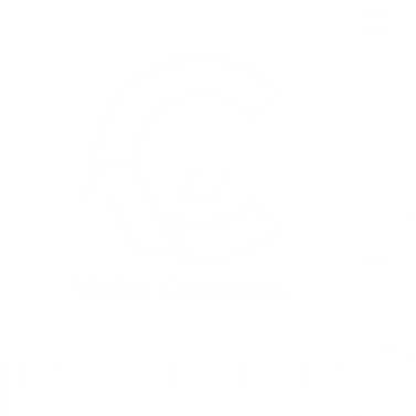 Logo Valor Conecta